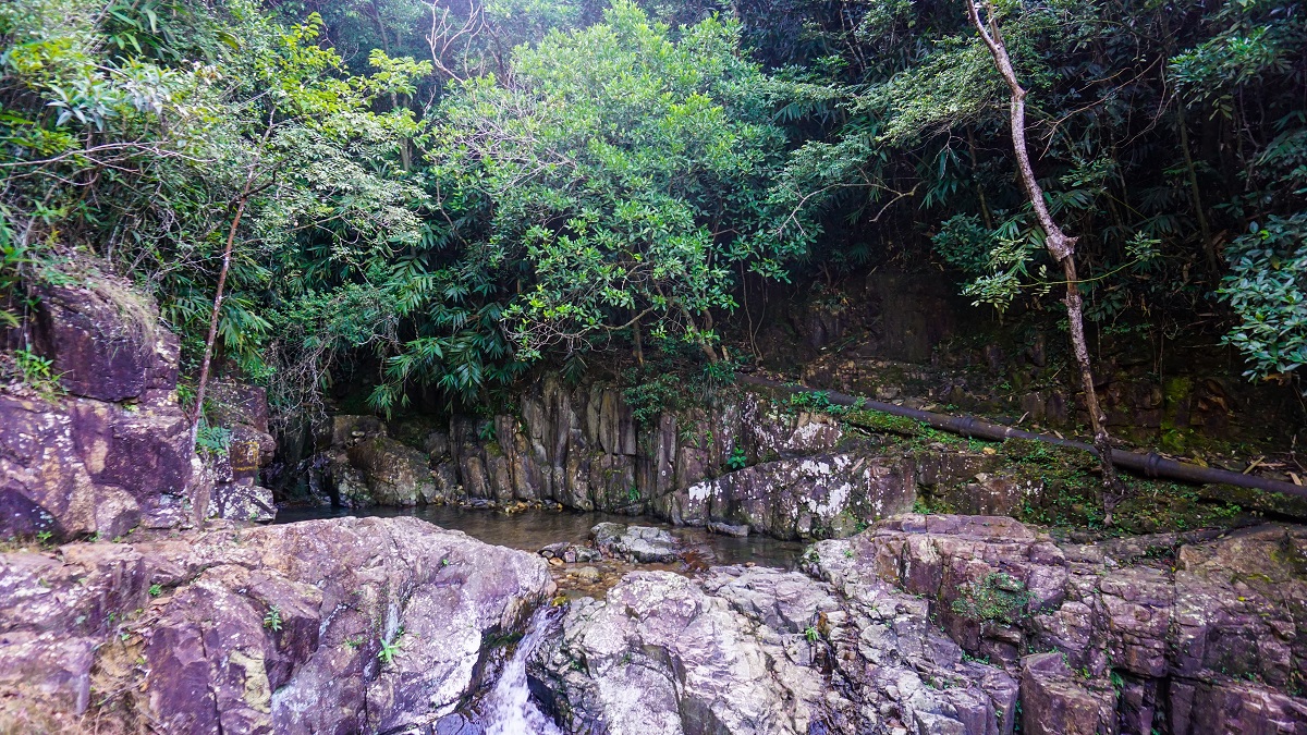 Water Stream