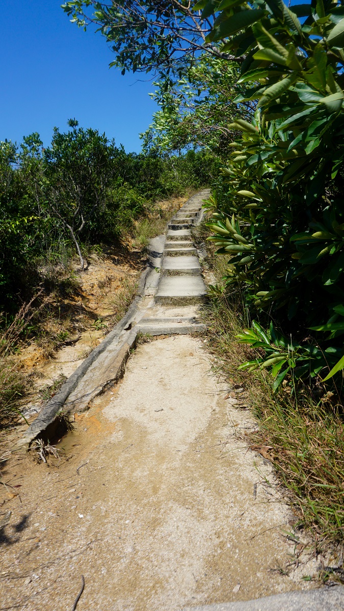 Stairs in Hong Kong Trail