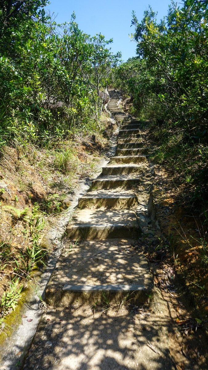 Stairs in Hong Kong Trail