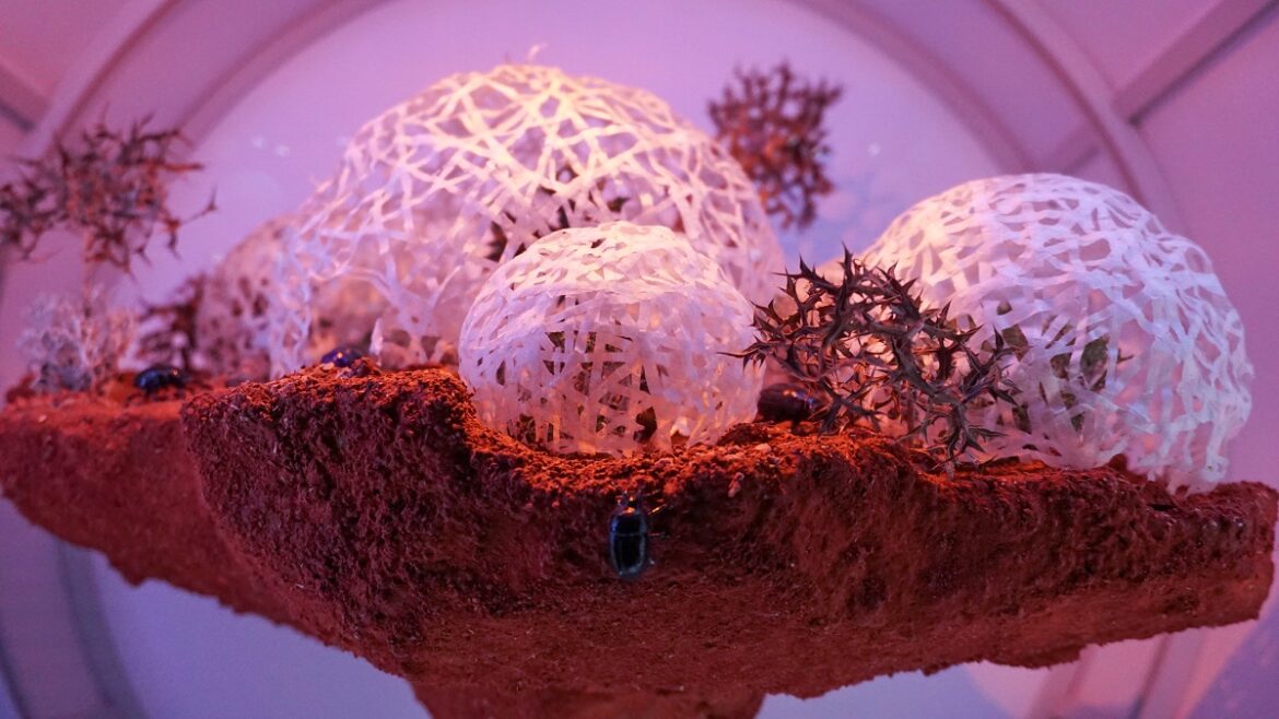 Museum of the Future Dubai | A Journey to the Year 2071!