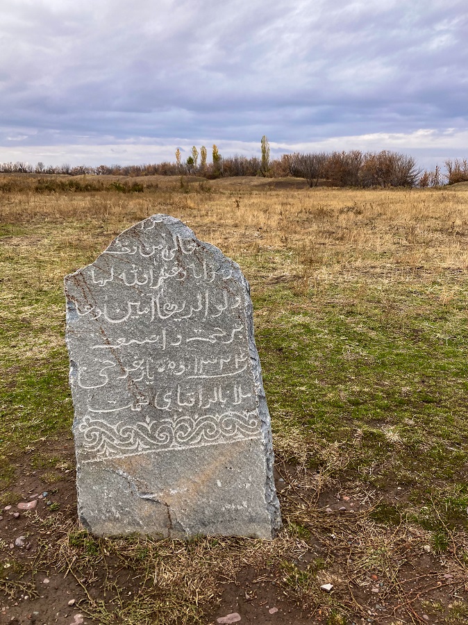 Petroglyphs in Burana Complex