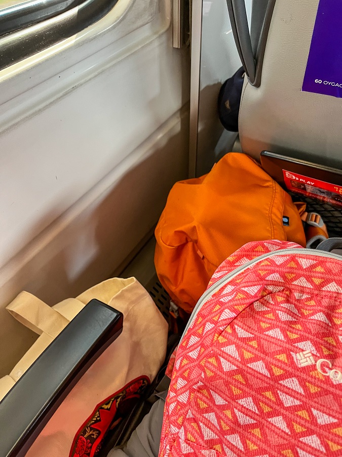 The Tashkent To Samarkand Train Ride With Uzbek Railways