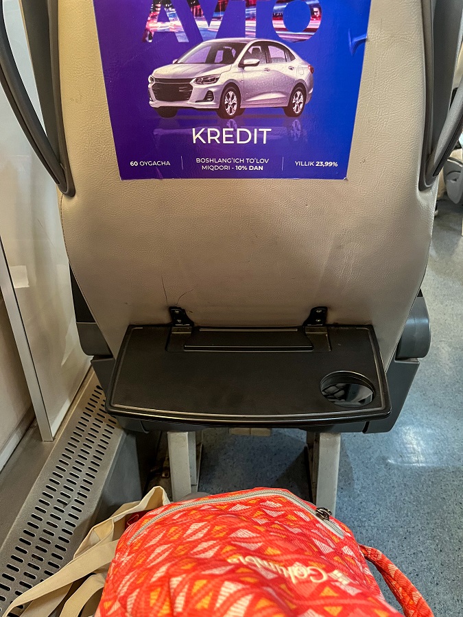 The Tashkent To Samarkand Train Ride With Uzbek Railways