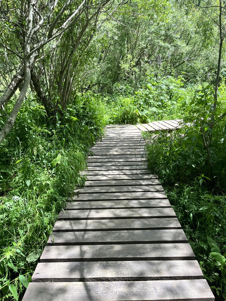 Boardwalk near Kaindy Lake