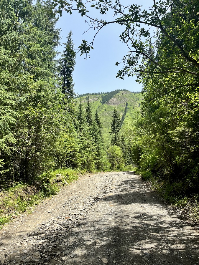 Taxi and Hiking Trail to Kaindy Lake