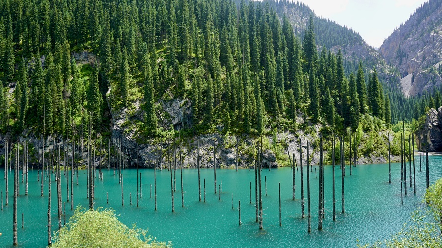 Sunken Forest of Kaindy Lake