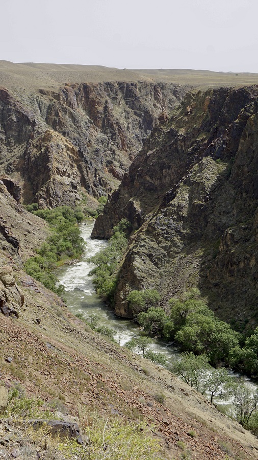 Photo stop at Black Canyon in Kazakhstan during our tour to Kaindy and Kolsai Lakes