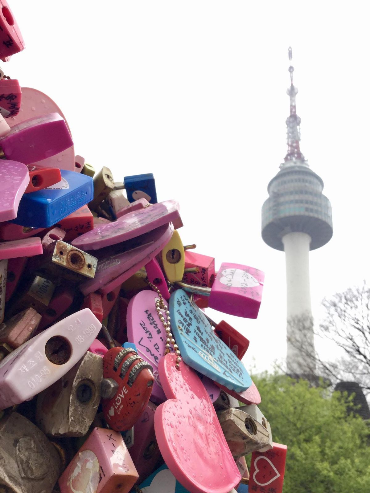 Visiting the love locks in Namsan Tower in Seoul, South Korea